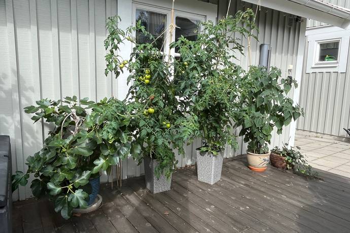 4 rum Villa på Södra Strömvägen 21 Falun-Masugnen Falu kommun - bild 36