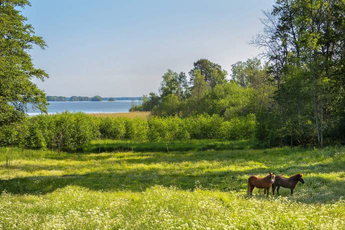 10 rum Gård/skog på Harbonäs säteri Heby- Uppland Heby kommun - bild 17
