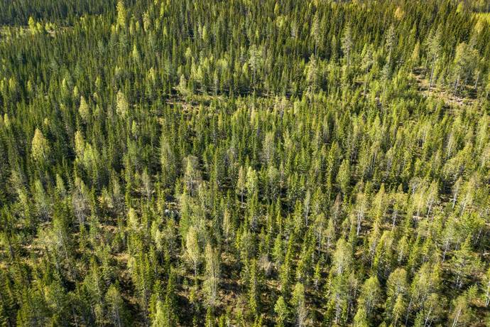 gård med skogsbruk på SUNDSVALL BODACKE 1:81 Liden, Sundsvalls kommun - bild 2