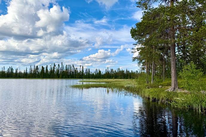 gård med skogsbruk på HÄRJEDALEN HÅN 9:13, 14:6, 14:7 Vemhån, Härjedalens kommun - bild 3