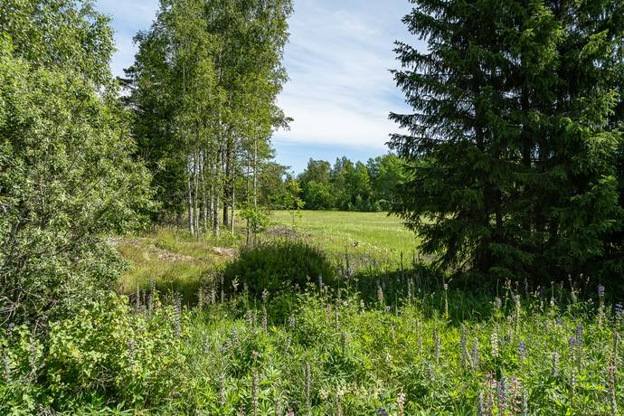 3 rum fritidshus på Moga 21 Almunge / Moga, Uppsala kommun - bild 4