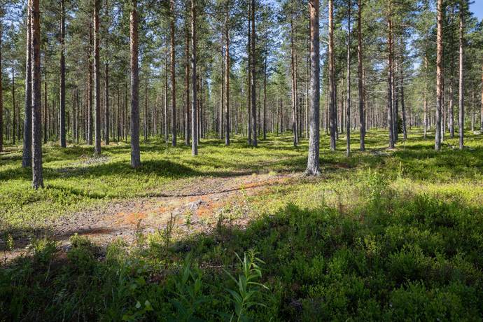 3 rum Villa på Furuögrund 607 Furuögrund Skellefteå kommun - bild 34