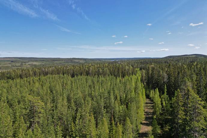 Bjurholm, Bjurholms kommun