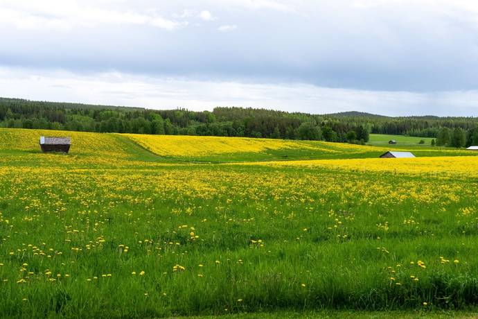 5 rum Villa på Västra Skråmträsk 139 Skellefteå Skellefteå kommun - bild 6