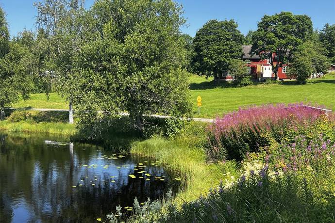 4 rum gård/skog på Mölnerud Där sö 1 Karlanda, Årjängs kommun - bild 1