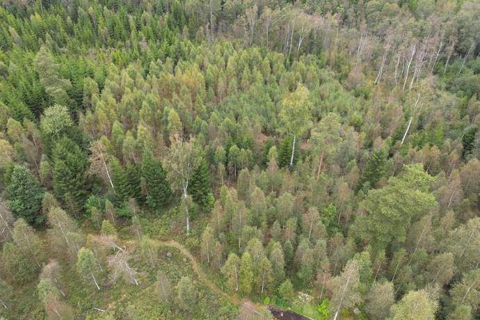 Gård/skog på HYLTE BRÄNNÖ 1:2 Hylte kommun - bild 9