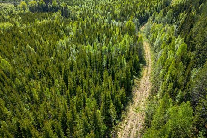 Gård med skogsbruk på Sollefteå Moflo 5:28 Moflo Sollefteå kommun - bild 4