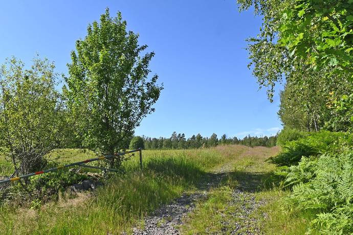 7 rum Gård/skog på Odensjö-Hyltan 1 Småland Ljungby kommun - bild 54