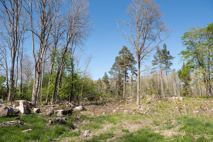 Tomt på Möllerstorp 101 Sala Sala kommun - bild 7