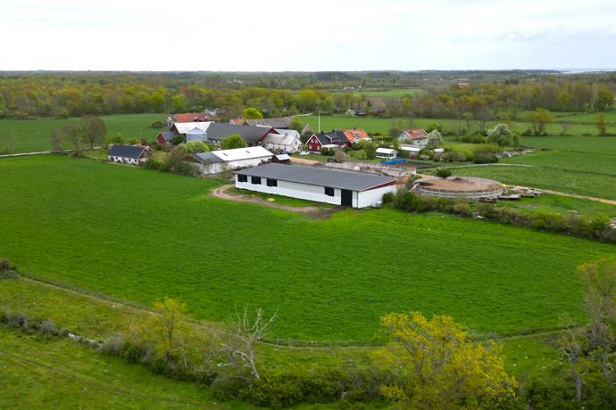 6 rum Gård med jordbruk på Loftagatan ÖLAND N BORGHOLM Borgholms kommun - bild 1