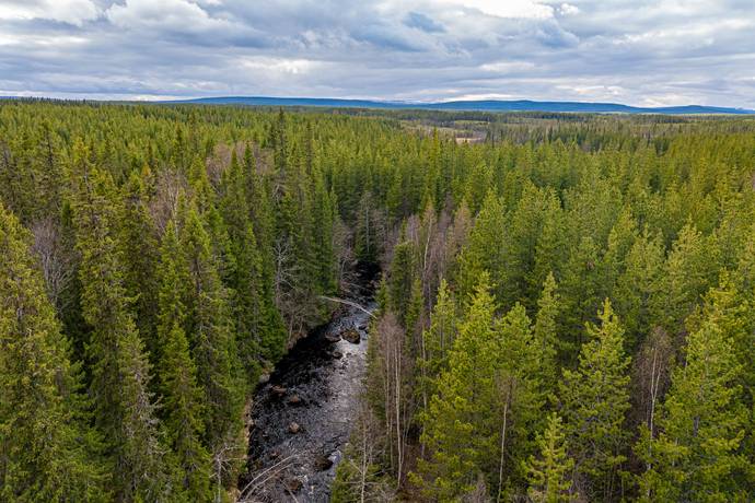 Gård/skog på Nederhögen Bergs kommun - bild 12