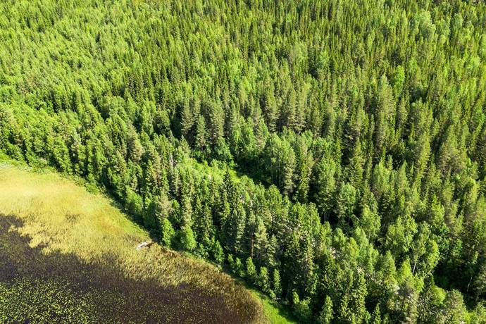 gård med skogsbruk på STRÖMSUND TÅSJÖ 4:48 Tåsjö, Strömsunds kommun - bild 4
