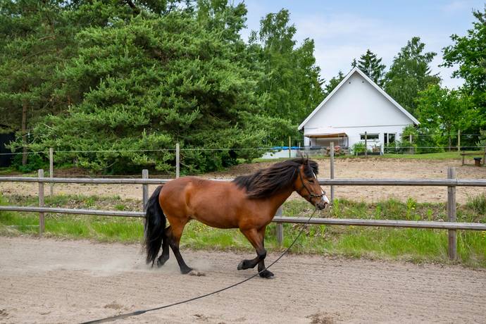 6 rum Gård/skog på Ekeberga 1474 Lunds kommun - bild 36