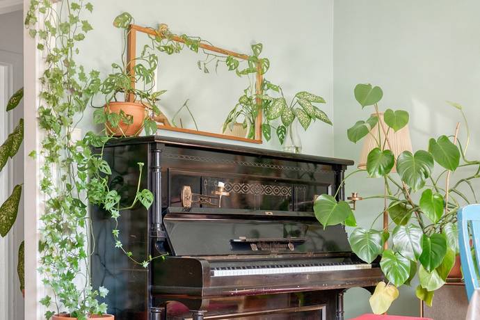 2 rum lägenhet på Floragatan 12 Luthagen, Uppsala kommun - bild 4