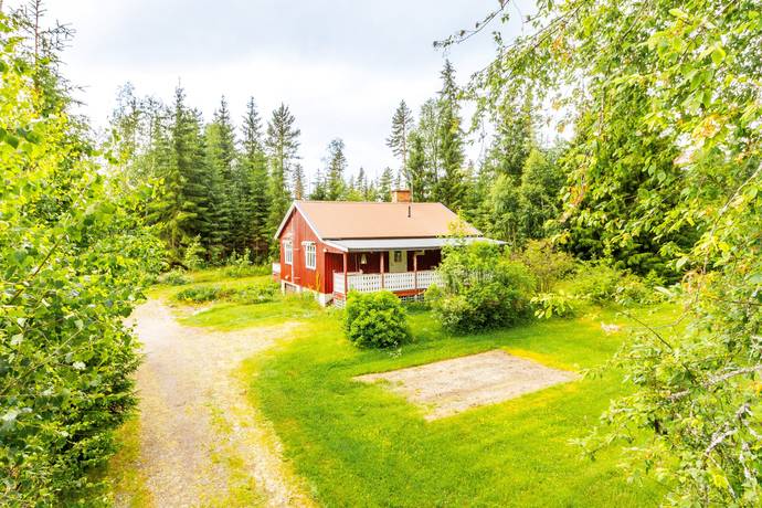 Klarälvdalen norra, Torsby kommun