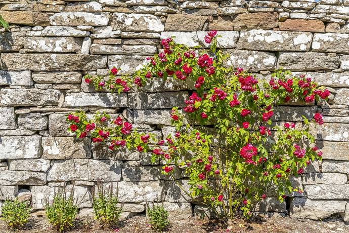 15 rum Gård utan jordbruk på Grytehamnsvägen 6 Gillberga Borgholms kommun - bild 55
