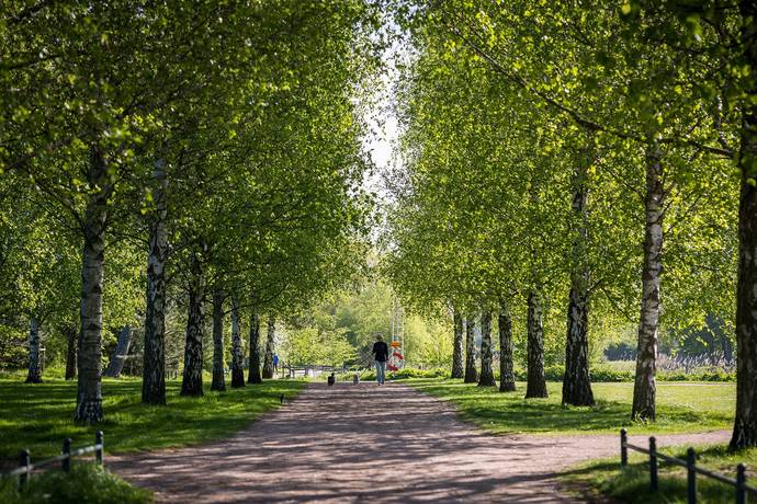 9 rum Villa på Beritta Gurrisgatan 32 Fridhem Malmö kommun - bild 52