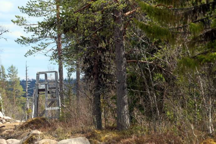 Gård med skogsbruk på HÄRJEDALEN HÅN 9:13, 14:6, 14:7 Vemhån Härjedalens kommun - bild 35