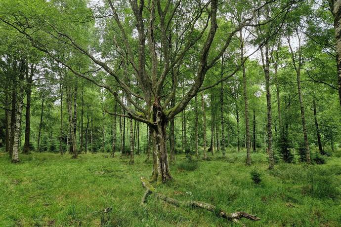 Gård med jordbruk på Trulshärad 8151 Önneköp Hörby kommun - bild 19