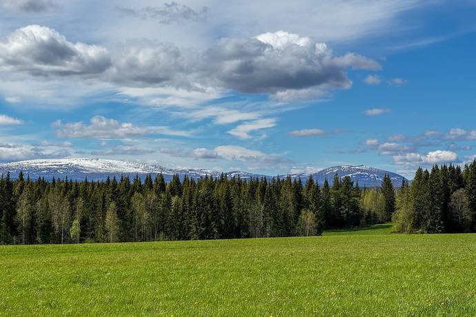 Gård/skog på Åre Rörön 1:2, 2:2 samt 2:3 Åre kommun - bild 29