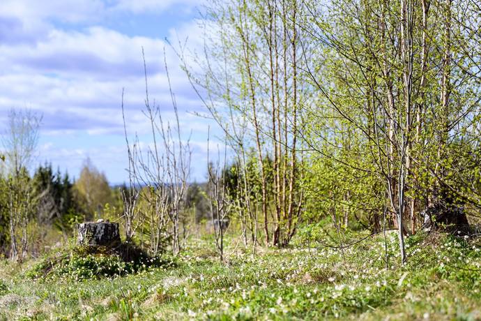 3 rum Vinterbonat fritidshus på Dalkarlsbo 29 Dalkarlsbo Säters kommun - bild 5
