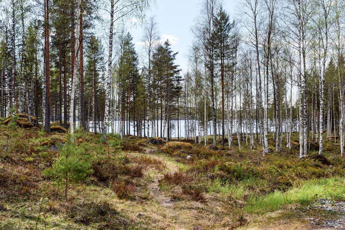 3 rum Fritidsboende på Grytån 92 Enviken Falu kommun - bild 34