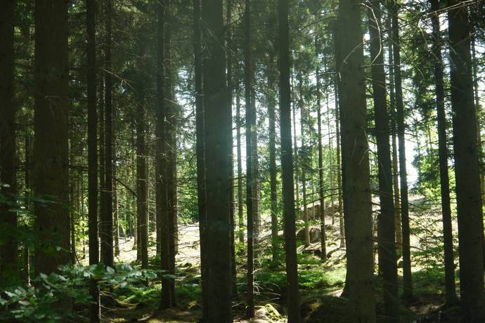 BLEKINGE SVERIGES TRÄDGÅRD, Karlskrona kommun