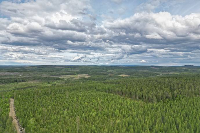 gård/skog på Hjuksnoret Vindeln, Vindelns kommun - bild 5