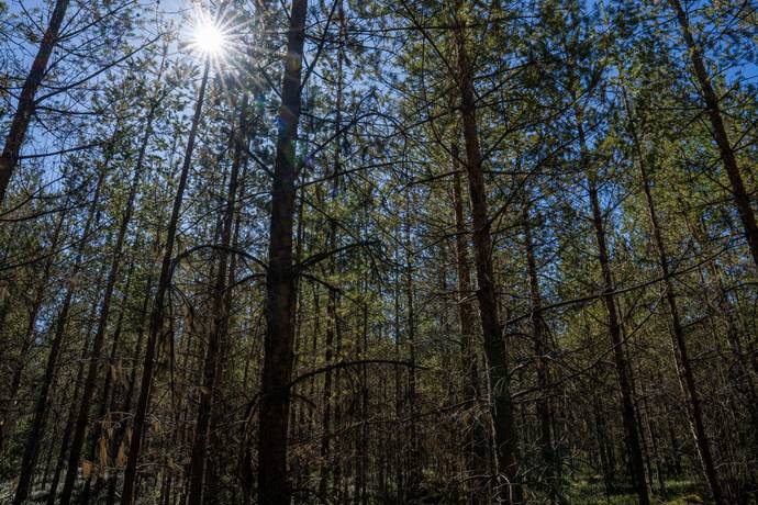 118 m² Gård/skog på Laxbäcken 224 Vilhelmina kommun - bild 20