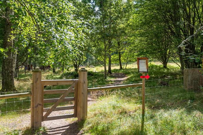 3 rum Kedjehus på Falkgatan 34 Borensberg Motala kommun - bild 37