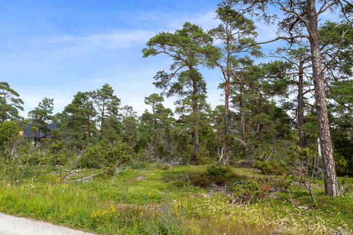 tomt på Ardre Alsarve 803F Ardre, Gotlands kommun - bild 1