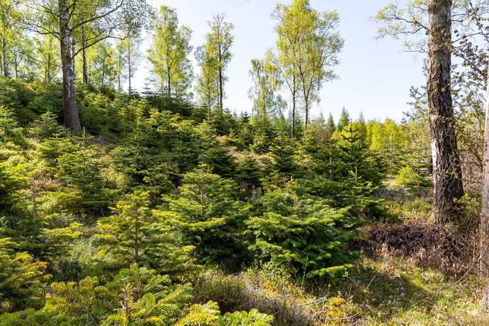 200 m² Gård utan jordbruk på Krokhusvägen 325 Ängelholm Ängelholms kommun - bild 9
