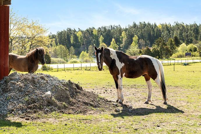 3 rum Vinterbonat fritidshus på Mora byväg 17 Bergshamra Norrtälje kommun - bild 24