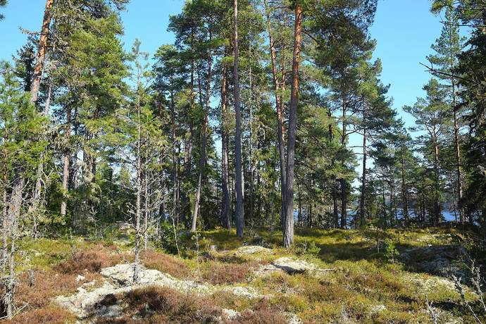 5 rum Gård med jordbruk på Hallanda gård Tveta Hallanda Säffle kommun - bild 40