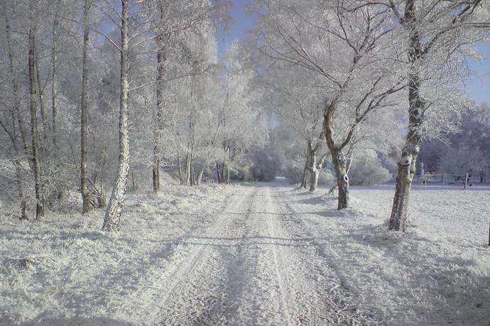 7 rum Gård/skog på Sandby 1651 Sandby Mosse Lunds kommun - bild 43