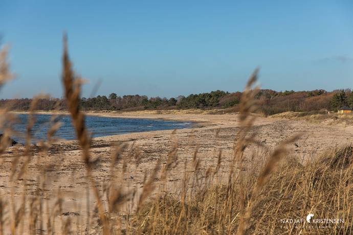 Tomt på Kohagavägen 7 Ranarpsstrand Båstads kommun - bild 13