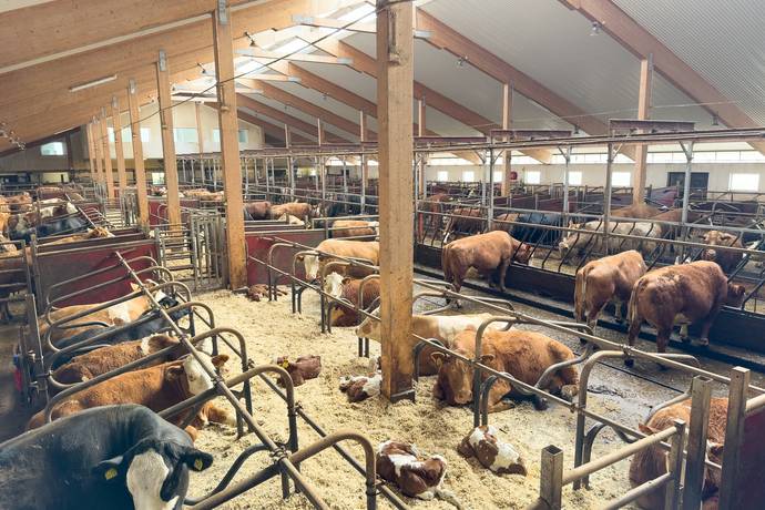 Gård/skog på Välskött Produktionslantbruk i Jämtland Åre kommun - bild 38