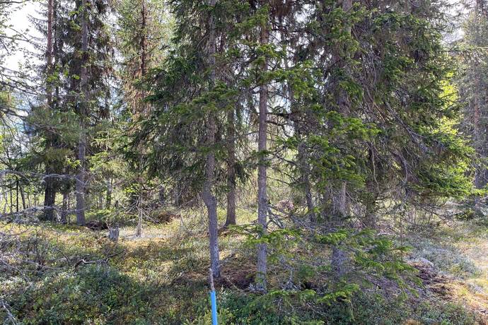 Tomt på Heavägen tomt 5:7 Särnaheden Älvdalens kommun - bild 12