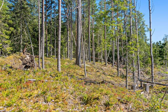 tomt på Segerstad Göviken Liljenäs, Karlstads kommun - bild 5