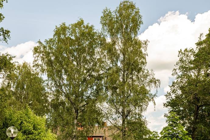 7 rum villa på Gripensnäs Stjärnflocka gård   Bettna, Flens kommun - bild 4