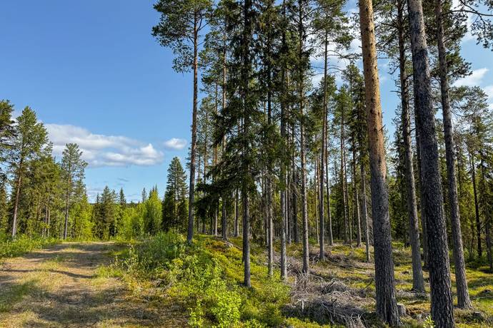gård/skog på Krokom Laxviken 1:72 Föllinge, Krokoms kommun - bild 2