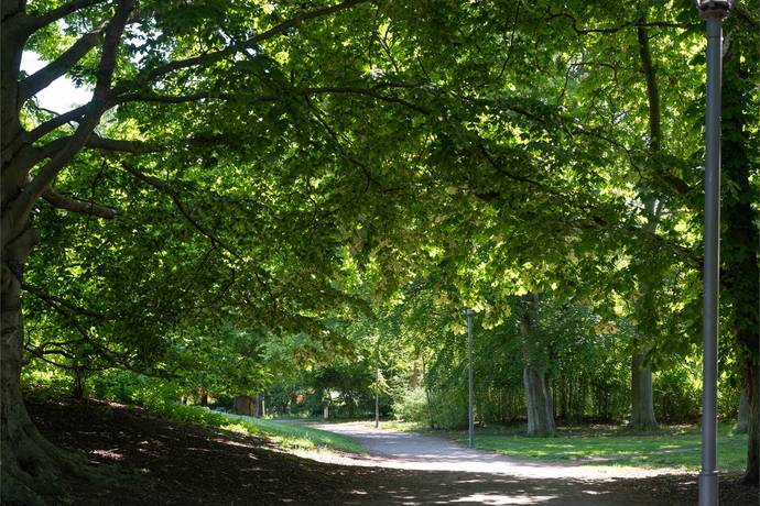 2 rum Lägenhet på Sandbackegången 4C Kirseberg Malmö kommun - bild 31