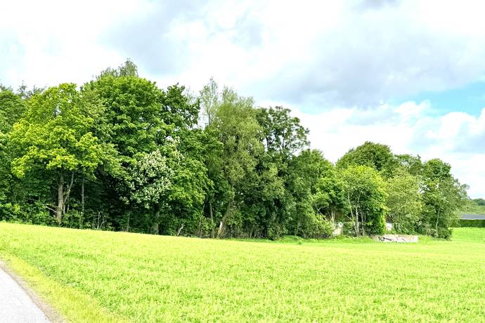 4 rum Gård utan jordbruk på Heingebergsvägen 227 Vollsjö på landet Sjöbo kommun - bild 29