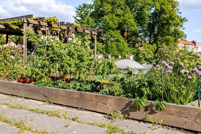 3 rum Lägenhet på Reimersholmsgatan 11 Södermalm - Reimersholme Stockholms kommun - bild 33