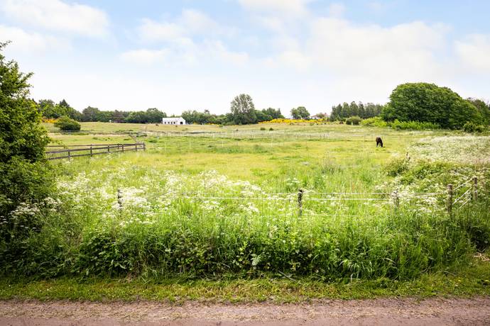 tomt på Sandvångsvägen 53 Vik, Simrishamns kommun - bild 4