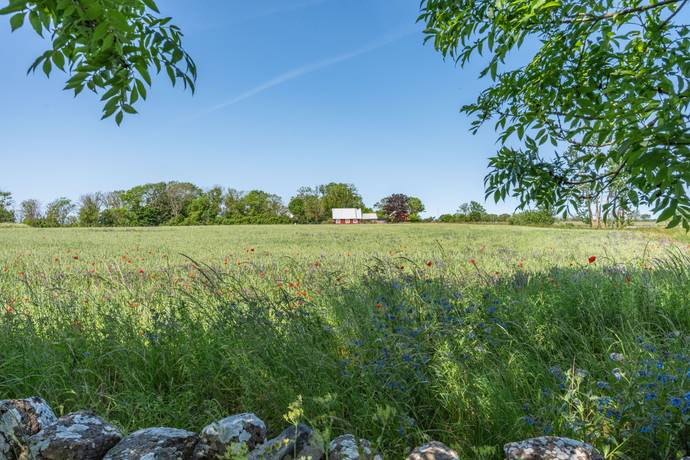 5 rum Fritidshus på Laxebyvägen 30 Köpingsvik Borgholms kommun - bild 34