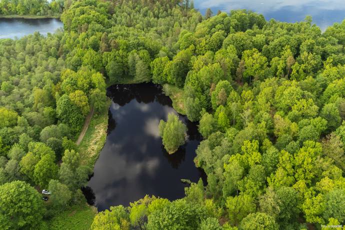 gård/skog på Unik skogsfastighet med vidsträckt utsikt över Hjälmsjön – en plats för drömmar och möjligheter! Örkelljunga, Örkelljunga kommun - bild 5