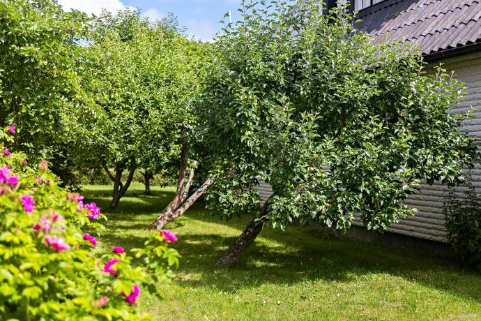 8 rum villa på Hagbyvägen 1 Almunge, Uppsala kommun - bild 4