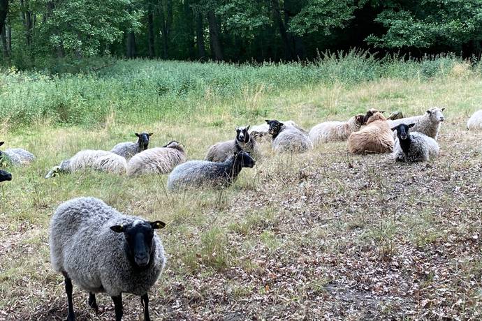 3 rum Vinterbonat fritidshus på Dånbergsvägen 3 Grovstanäs Norrtälje kommun - bild 37
