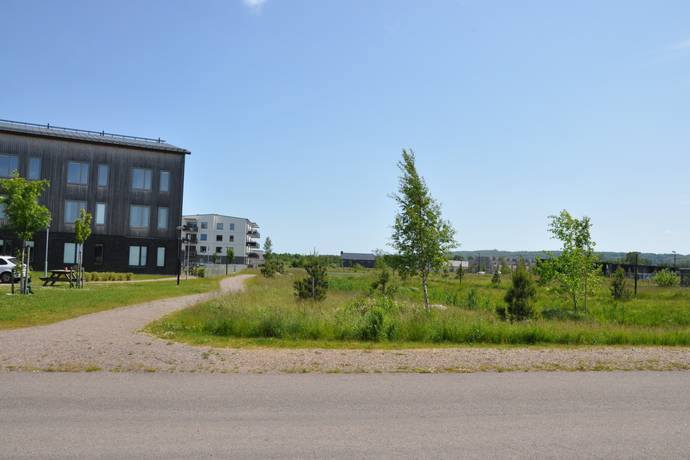 Tomt på Allarp,  tomter för villor och parhus Allarp Laholms kommun - bild 13